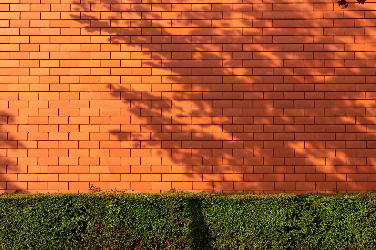 Revestimiento de piedra natural en pared